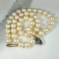 Glossy 16" Cultured Pearl Necklace with Sterling Clasp