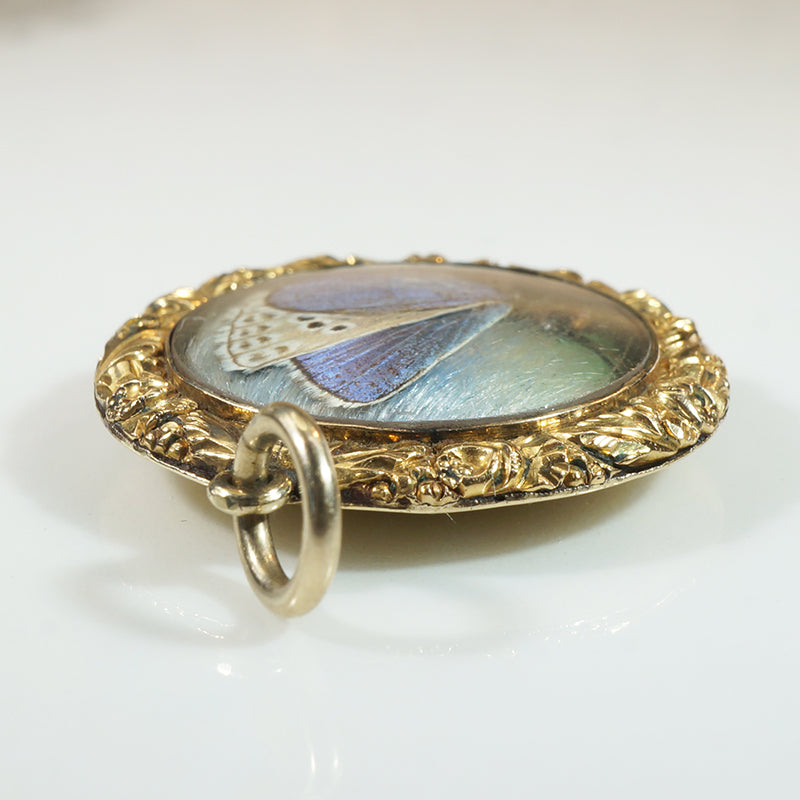 Blue Butterfly in Engraved Gold Locket