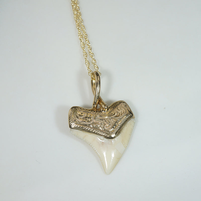 Fierce Shark Tooth Talisman in 14k Gold