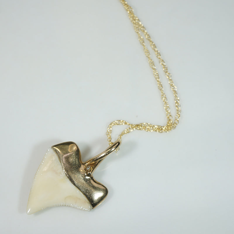 Fierce Shark Tooth Talisman in 14k Gold