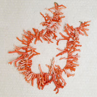 Fiercest Branch Bead Necklace