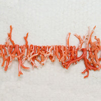 Fiercest Branch Bead Necklace