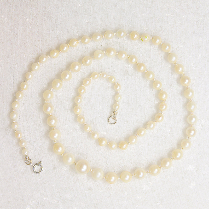 19" Graduated Strand of Creamy Cultured Pearls