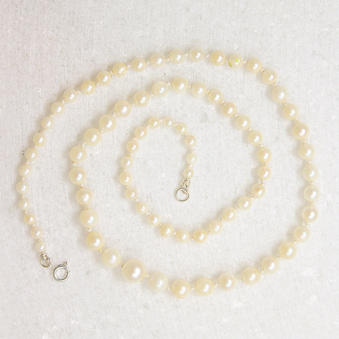 19" Graduated Strand of Creamy Cultured Pearls