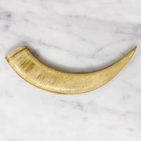 19th Century Big Ol' Claw Brooch