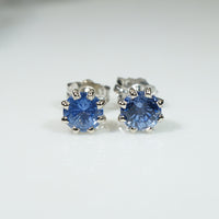 Lovely Montana Sapphire Studs in White Gold