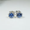Lovely Montana Sapphire Studs in White Gold