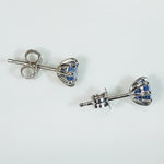 Lovely Montana Sapphire Studs in White Gold