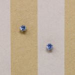 Blue Bonnet-Blue Montana Sapphire Stud Earrings
