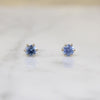 Blue Bonnet-Blue Montana Sapphire Stud Earrings