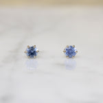 Blue Bonnet-Blue Montana Sapphire Stud Earrings