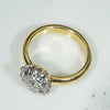 Seven Antique Diamonds in Platinum & Gold Cluster Ring