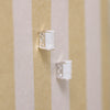 Dreamy Moonstone in Sterling Silver Stud Earrings