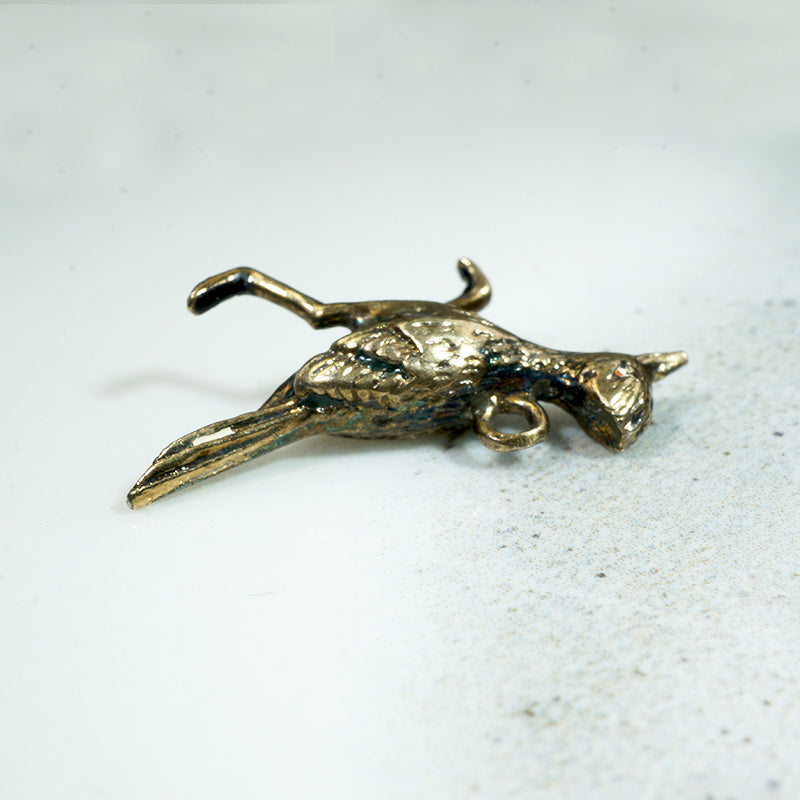 I'm a 9k Gold Roadrunner Charm Honey