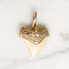 Potent Gold-Capped Shark Tooth Talisman