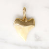Potent Gold-Capped Shark Tooth Talisman