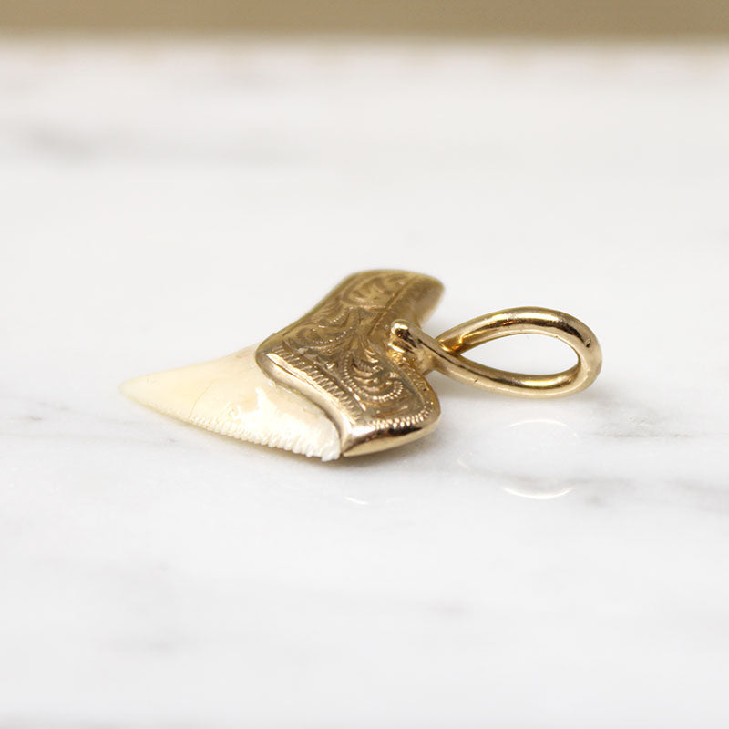 Potent Gold-Capped Shark Tooth Talisman