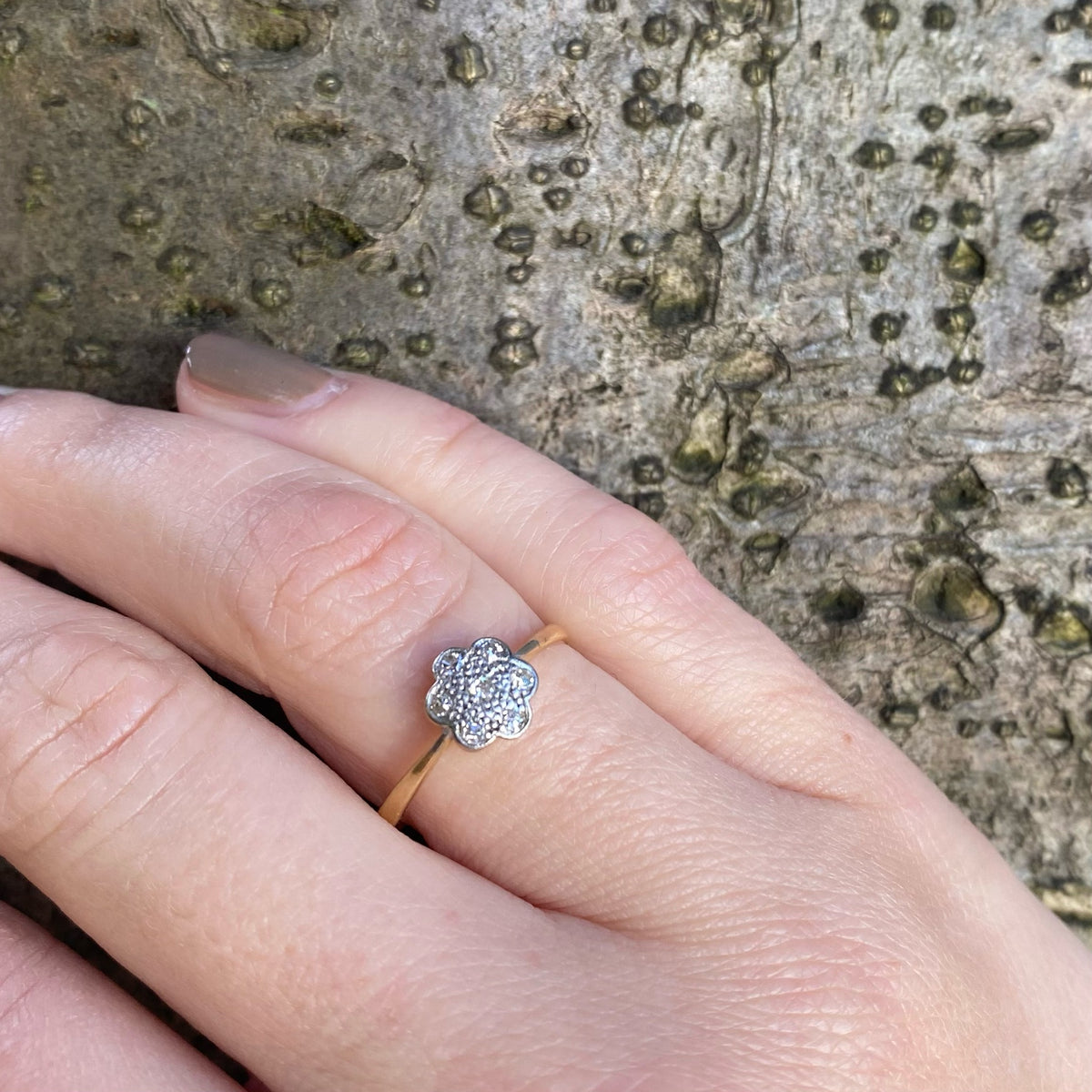 Petite Diamond Flower Ring Platinum on 18k