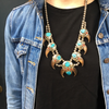 Extraordinary Navajo Bear Claw & Gem Necklace