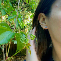 Serene Cornflower Blue Sapphire Studs in Platinum