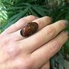 Painted Desert Jasper Sterling Art Deco Ring