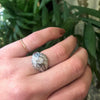 Edwardian Diamond Covered Bombé Ring in Platinum