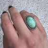 Blackbird's Egg Blue Turquoise in Silver Ring