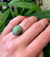 Carved Jade Beetle set In Gold circa 1900