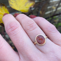 An Ancient Intaglio Ring The Heron