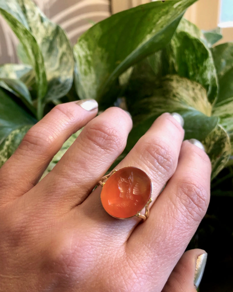Italian Carved Carnelian Ring Antique Vintage Heirloom Jewelry Likely from  Italy Rectangle Face Etched Animal Lion Monkey Horse Animal 8.75