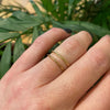 PETITE FLEUR a Recycled Revival Band