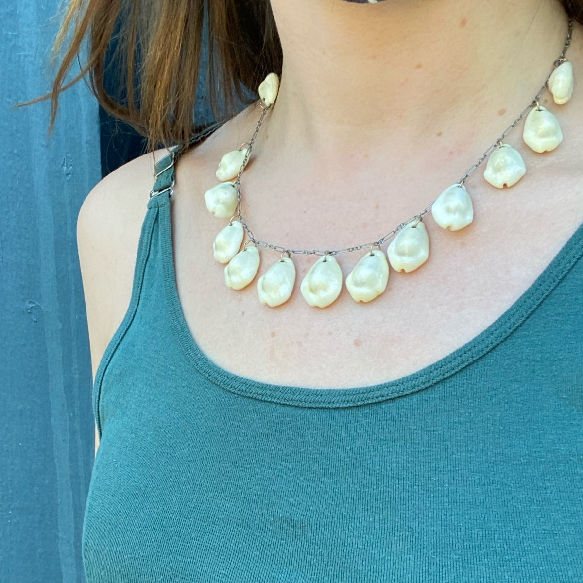 Edwardian Cowrie Shell Swag Necklace