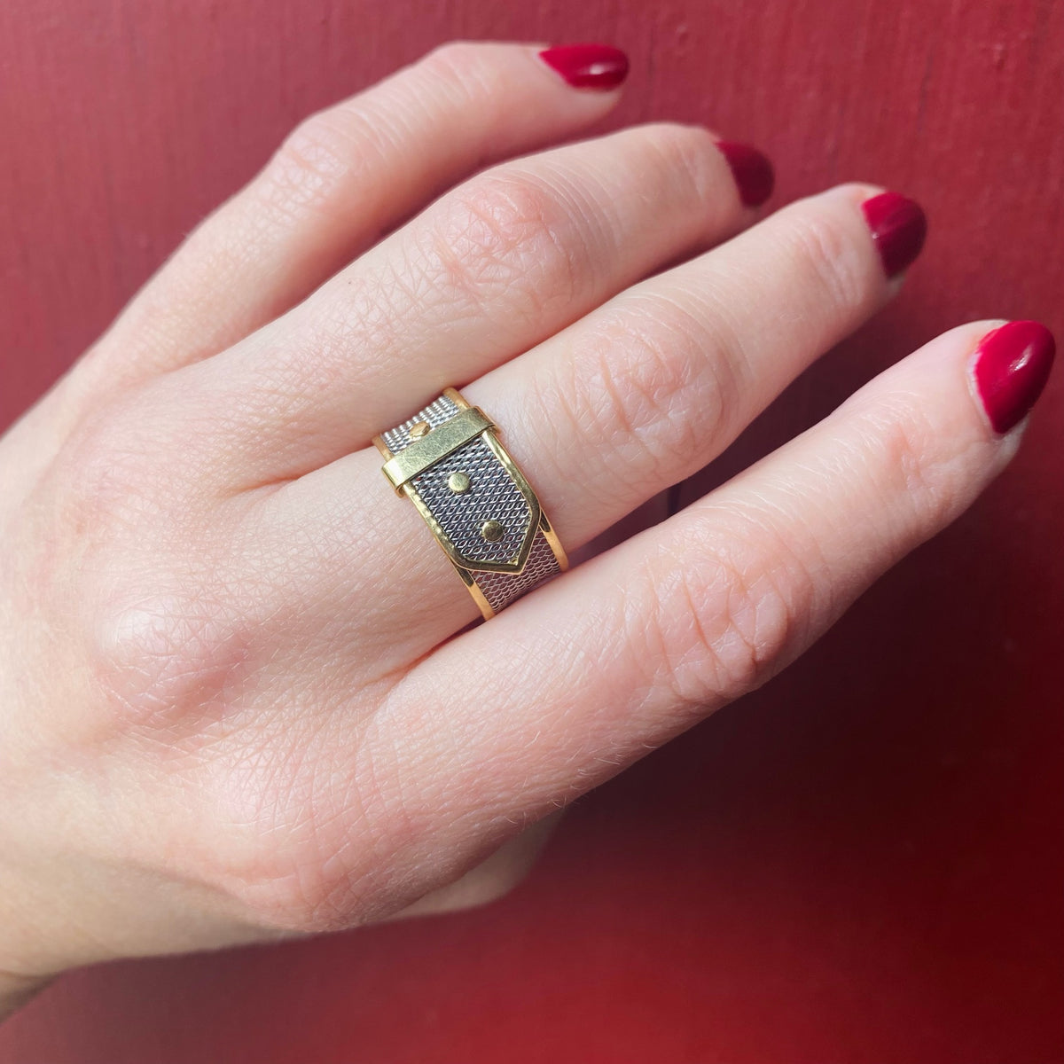 Platinum Mesh and 18k Gold Belt Band