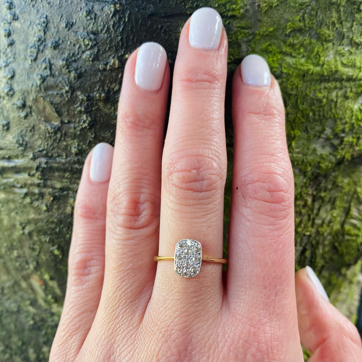Petite Diamond Cluster Edwardian Panel Ring
