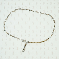 Elaborate Niello Striped Silver and Gold Married Chain