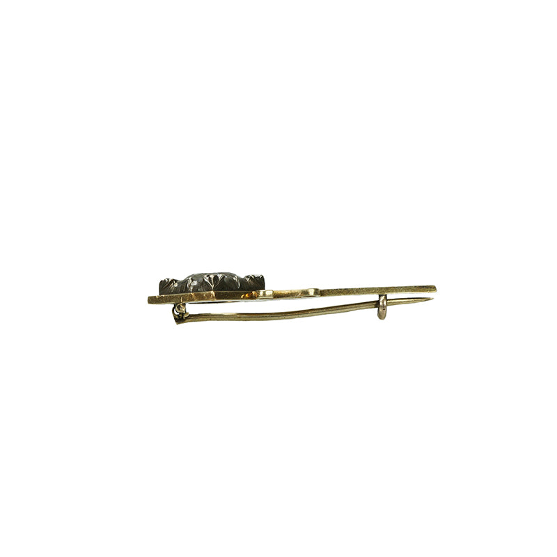 Tiny Georgian Comet Brooch