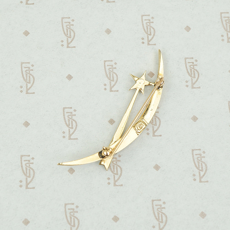 Delicate Victorian Shooting Star Brooch