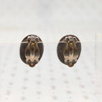 Petrified Bone & Sterling Clip On Earrings