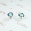 Brilliant Natural Blue Zircon Stud Earrings 