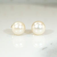 Creamy 8.2mm Pearl Studs in Gold