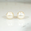 Creamy 8.2mm Pearl Studs in Gold