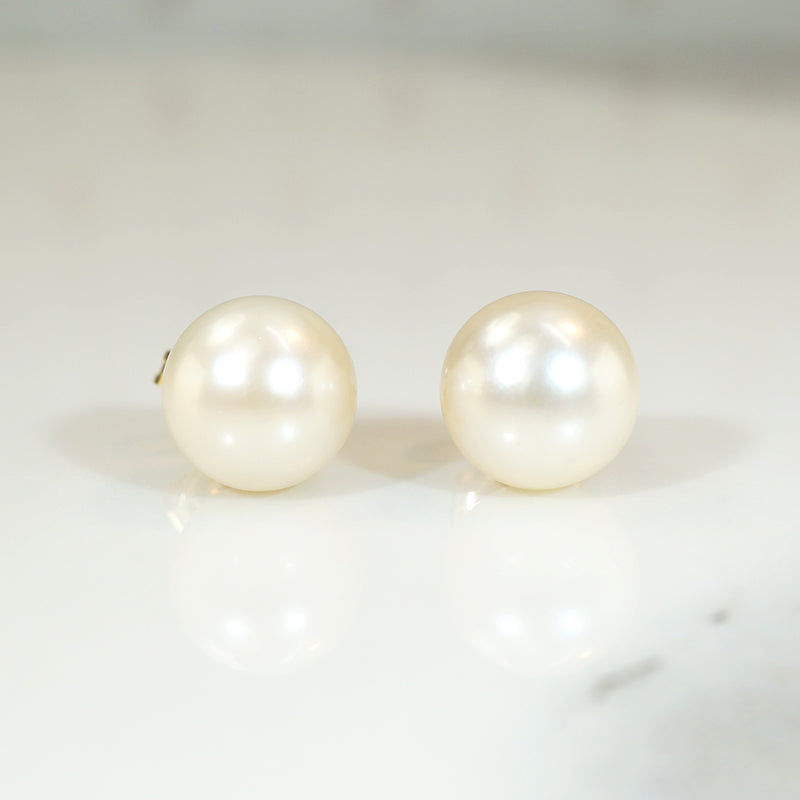 Creamy 8.2mm Pearl Studs in Gold