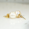Creamy 8.2mm Pearl Studs in Gold