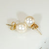 Creamy 8.2mm Pearl Studs in Gold