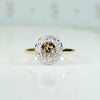Fancy Brown Diamond Halo Ring in 18k & Platinum