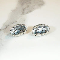 New Wave Elegance Silver Omega Back Earrings