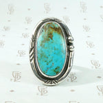 Serene Turquoise Ring with Rattlesnake Jaw Rockers