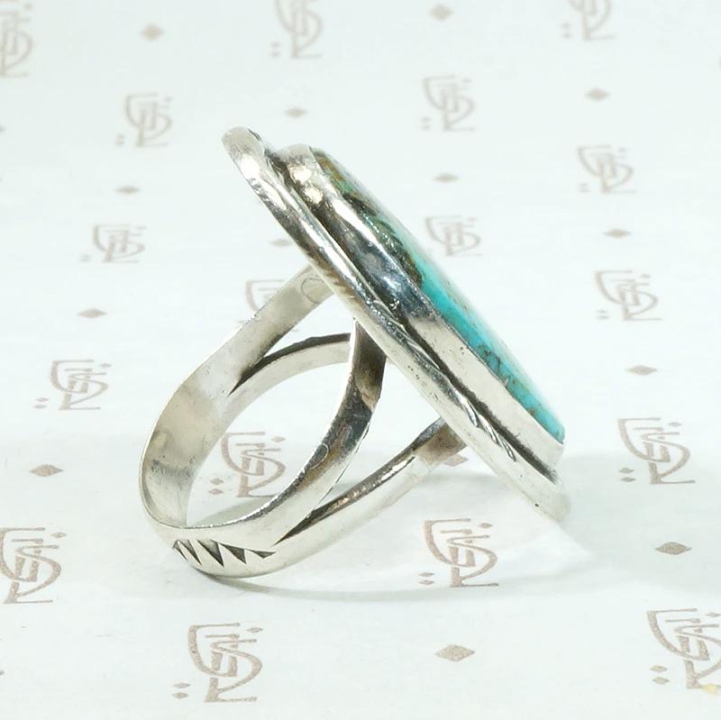 Serene Turquoise Ring with Rattlesnake Jaw Rockers