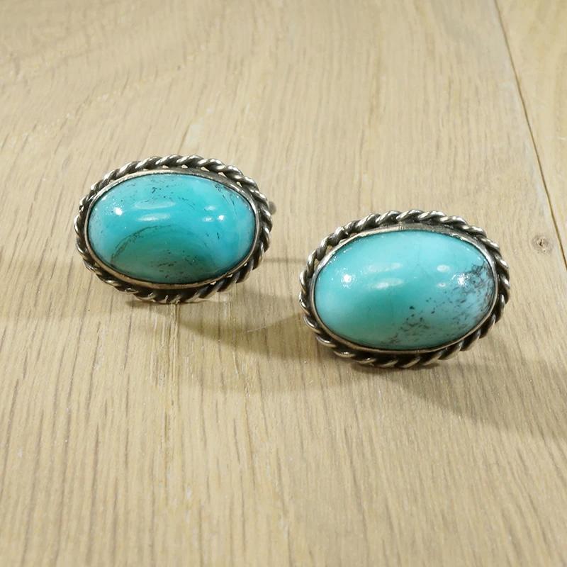 Robin's Egg Blue Turquoise Cabochon Earrings