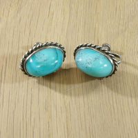 Robin's Egg Blue Turquoise Cabochon Earrings